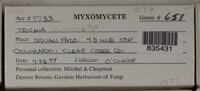 Image Associated With the Occurence